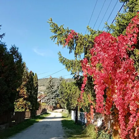 Balcsihaz Badacsony Casa vacanze *